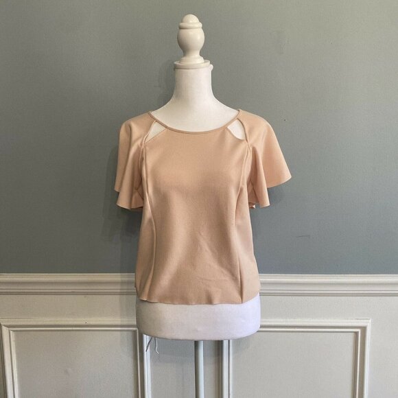 Zara Flutter Sleeve Cut Out Detail Light Pink Feminine - Picture 1 of 5